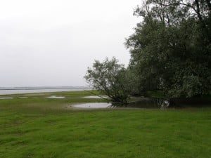 Hoogezandsche_Gorzen_01