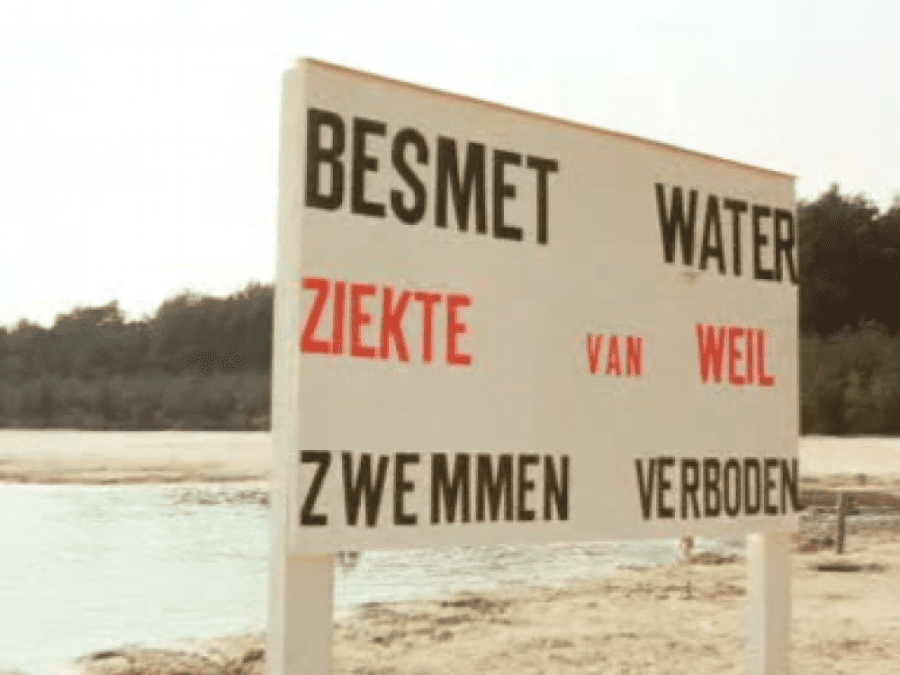 Besmettelijke Ziekte van Weil bij hond geconstateerd in de Hoeksche