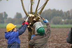 10630521694_77d5b69b87_k