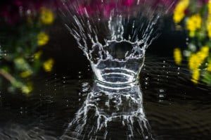 Jannie_DamWaterdruppel