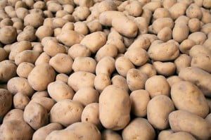 groenvries_aardappels2