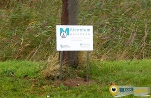 De Millennium-linden in de polder Bonaventura hebben weer nieuwe aanduidingsbordjes.