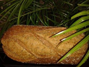 shineweekspecialfoto