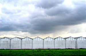201410_Glas_tuinbouw_kassen_Elshout_small