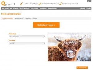 11015414_794505897299589_950739152_n