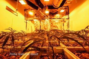 1513755_644197032353532_5251492441072592754_n