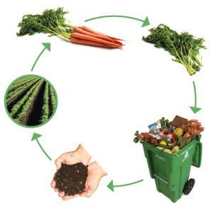 compost