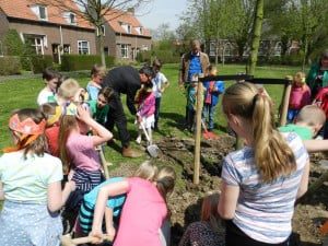 In 1898 werden op veel plaatsen Koningin Wilhelmina bomen geplant. Die traditie werd voorgezet in 2013 met de Koning Willem Alexander bomen.