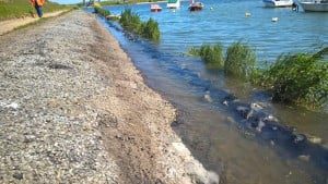 11536439_991452387546077_394429056162456689_o