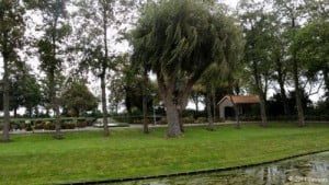 11899917_722234354549799_3161160848103044789_n