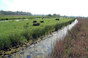 1463206_462352653885607_265812264_n