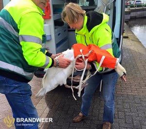 12670667_987876801288792_3520061464711479775_n