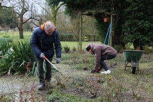 Terugsnoeien rozentuin - NL Doet - De Peerdegaerdt