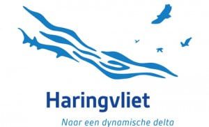 Haringvliet