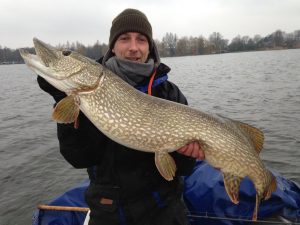 12377591_810924639012173_5827809878110539465_o