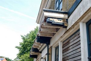 13652896_1206746949359128_1186517886716227006_o