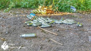 14305393_908510609255505_6995760868136662408_o