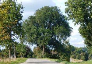 iep-oudendijk-18-9-2016
