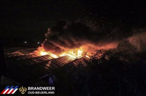 14708313_1123828971026907_3869963604119086901_n