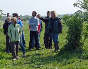 introductiecursus_2014