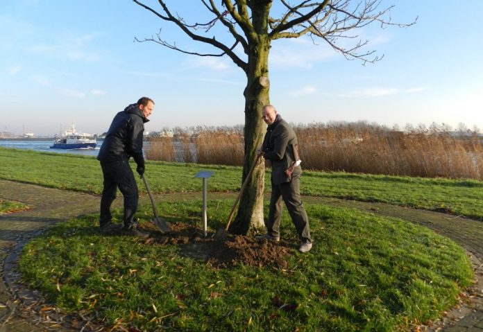 Koningin Beatrix boom 12-12-2013 A6