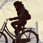 Fietsroutes in de Hoeksche Waard