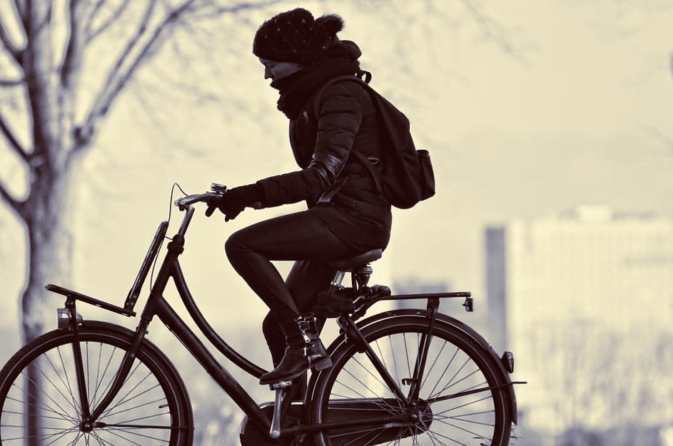 Fietsroutes in de Hoeksche Waard