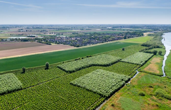 Bos en Heinenoord