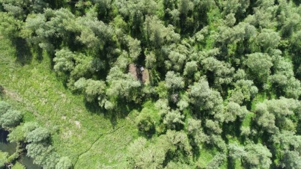 Twee aanhoudingen na ontdekking hennepkwekerij In natuurgebied de Oeverlanden in Strijensas