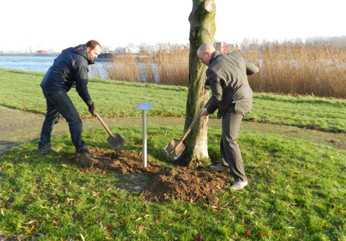 Koningin Beatrix boom 12-12-2013 A3