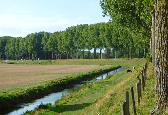 Populieren Molendijk 17-9-2022 A2