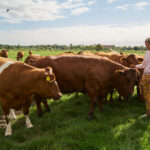 Chef-kok Michka Chel van Kookstudio Hoeksche Waard - Foto Harm van den Broek – HAL158.