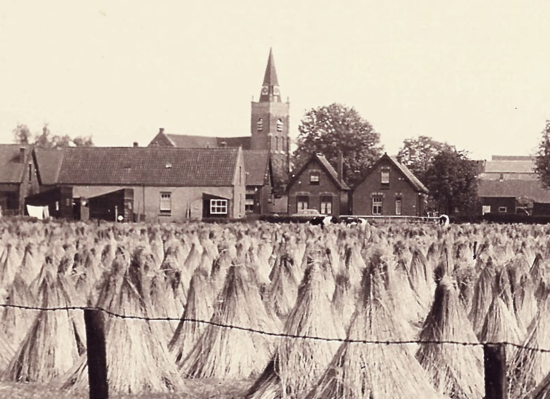 Lezing over Vlasteelt in de Hoeksche Waard