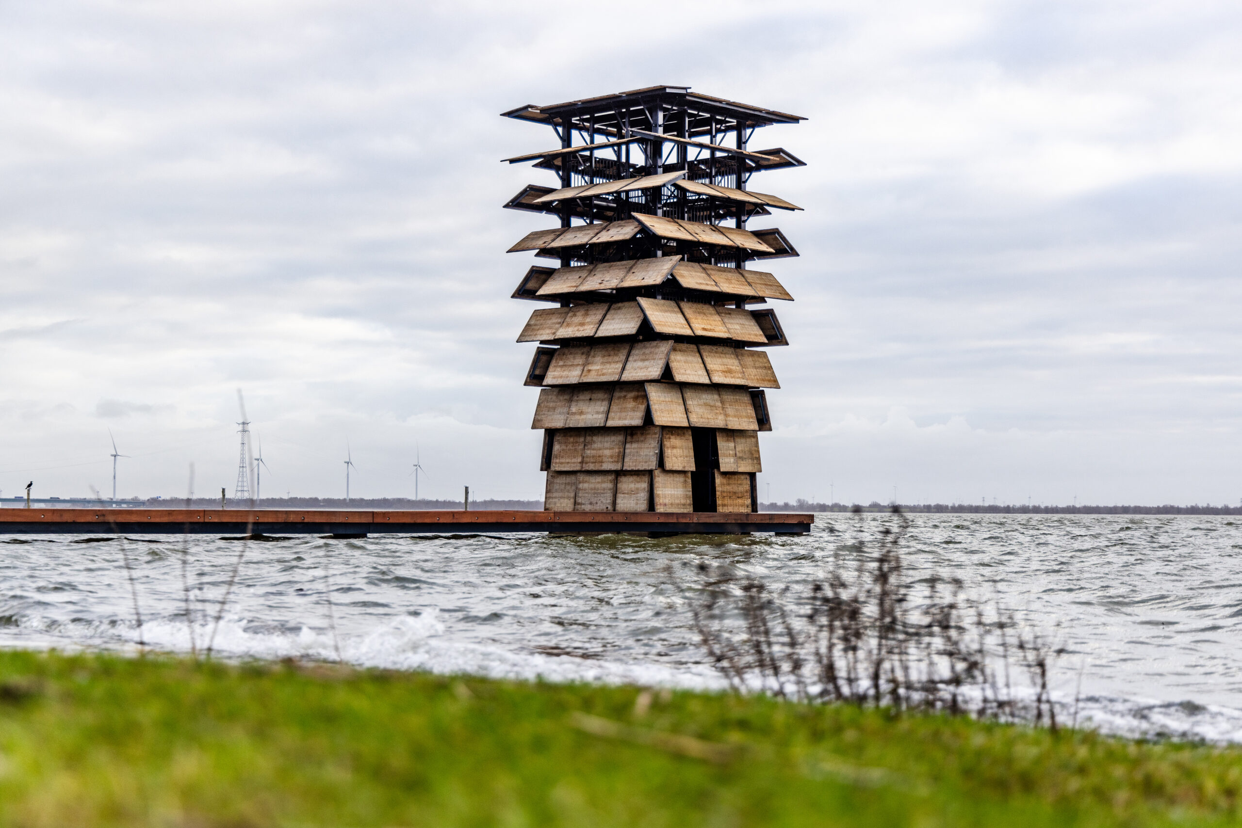Zwemmen in natuurwater