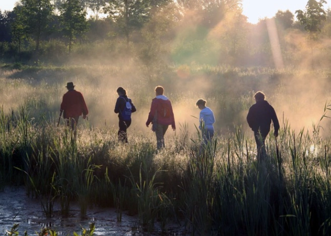Hemelvaartsdag: Vroege dauwtrapwandeling van oude Barendrechtsebrug naar Klein Profijt