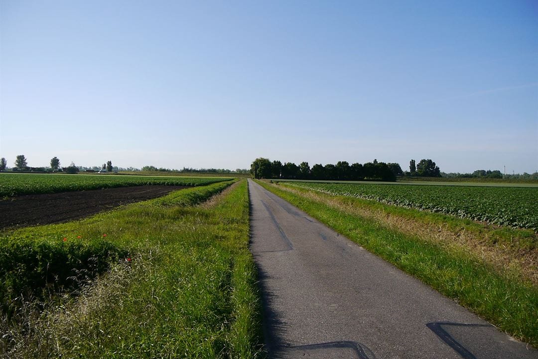 Asfaltverharding van de Wielweg in Strijen wordt vanaf de Schenkeldijk tot aan de Weelsedijk vervang