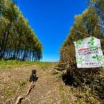 Helaas geen dierendag voor de dieren in het Bos van Los vandaag. 🪵🪚😥 - Foto Tania Heijmans