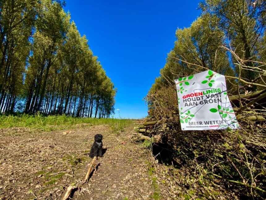 Helaas geen dierendag voor de dieren in het Bos van Los vandaag. 🪵🪚😥 - Foto Tania Heijmans