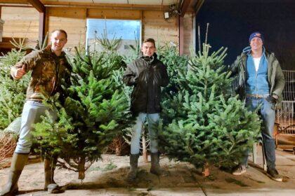 Niels, Lehto en Marijn, alle drie 21 jaar oud, hebben een kerstbomen drive-in opgezet om inwoners van de Hoeksche Waard op een gemakkelijke en feestelijke manier te voorzien van een kerstboom.