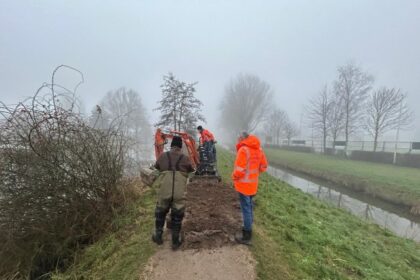 Een maatregel die het Waterschap al genomen heeft is het opgraven van een muskusrattenhol (zie foto) om te zien hoe de gangenstelsels lopen. Deze werkzaamheden zijn succesvol afgerond en het hol is gedicht. - Foto WHSD