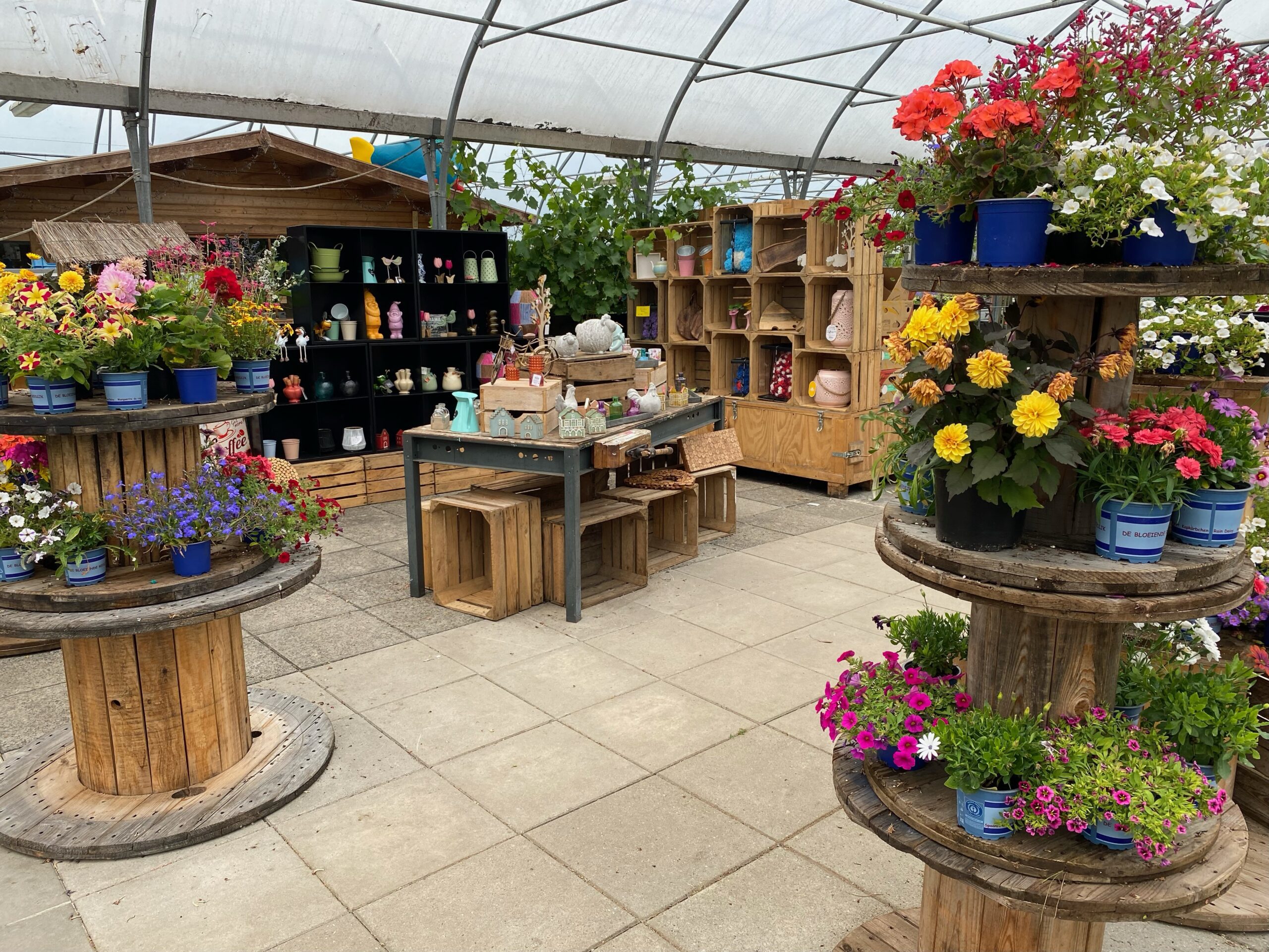 Open dag Zorgboerderij Bonaventura in Strijen