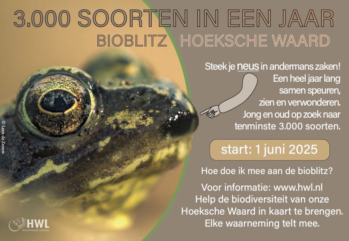 HWL gaat voor het tellen van minimaal 3000 soorten planten, dieren en andere organismen in één jaar