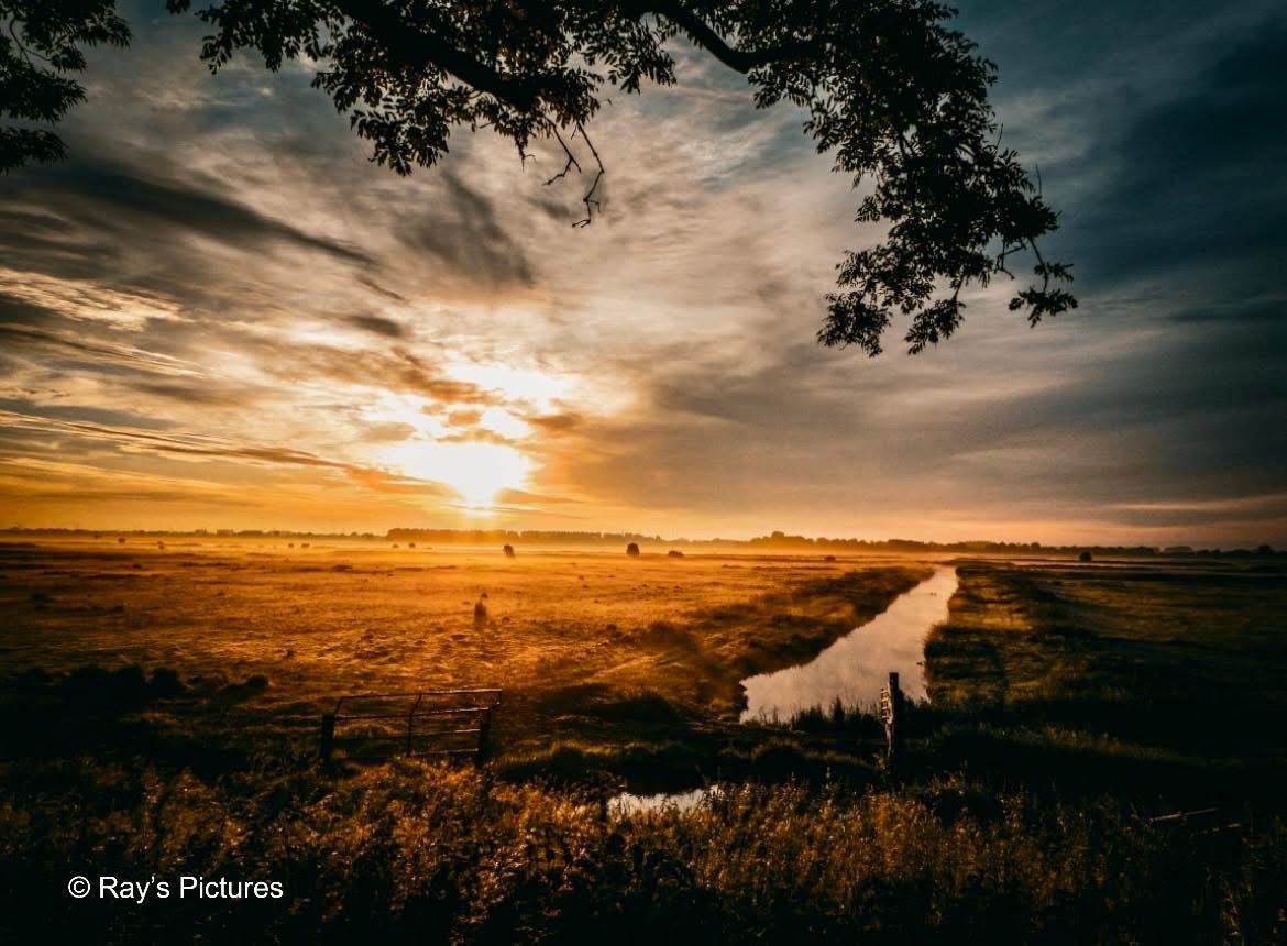 Kwaliteitsimpuls Oudeland van Strijen: Nieuw waterbeheer en natuurherstel voor weidevogels