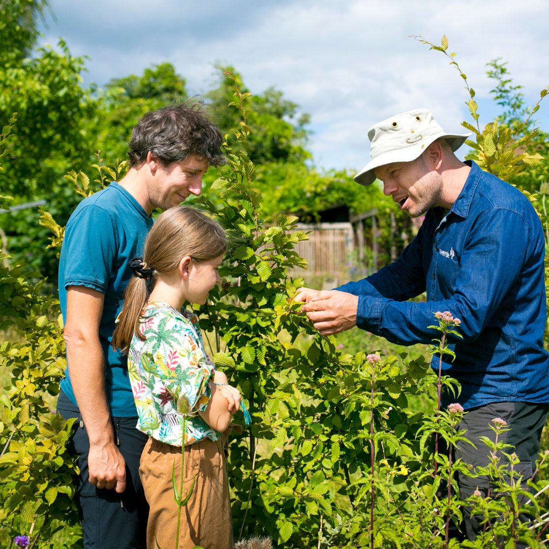 Tuinrangers Hoeksche Waard van start: gratis tuinadvies van lokale tuinhelden