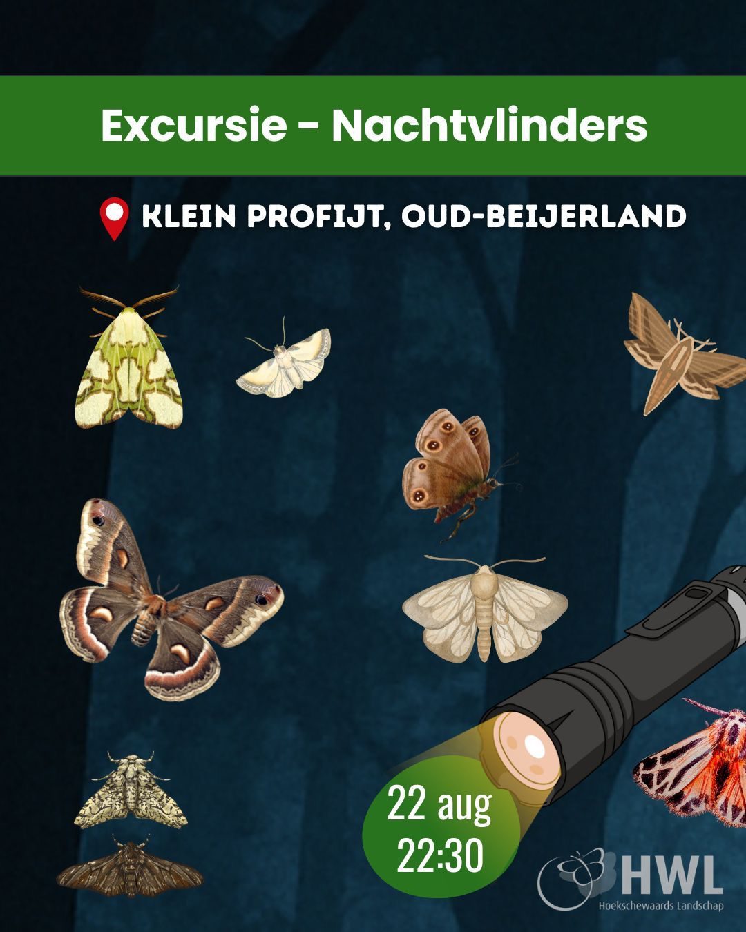 Nationale Nachtvlindernacht in Oud-Beijerland