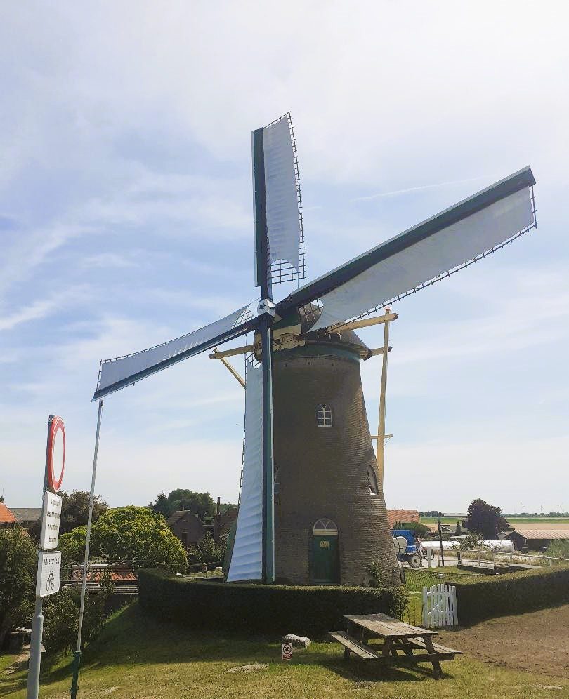 Feestelijke heropening van Korenmolen De Lelie