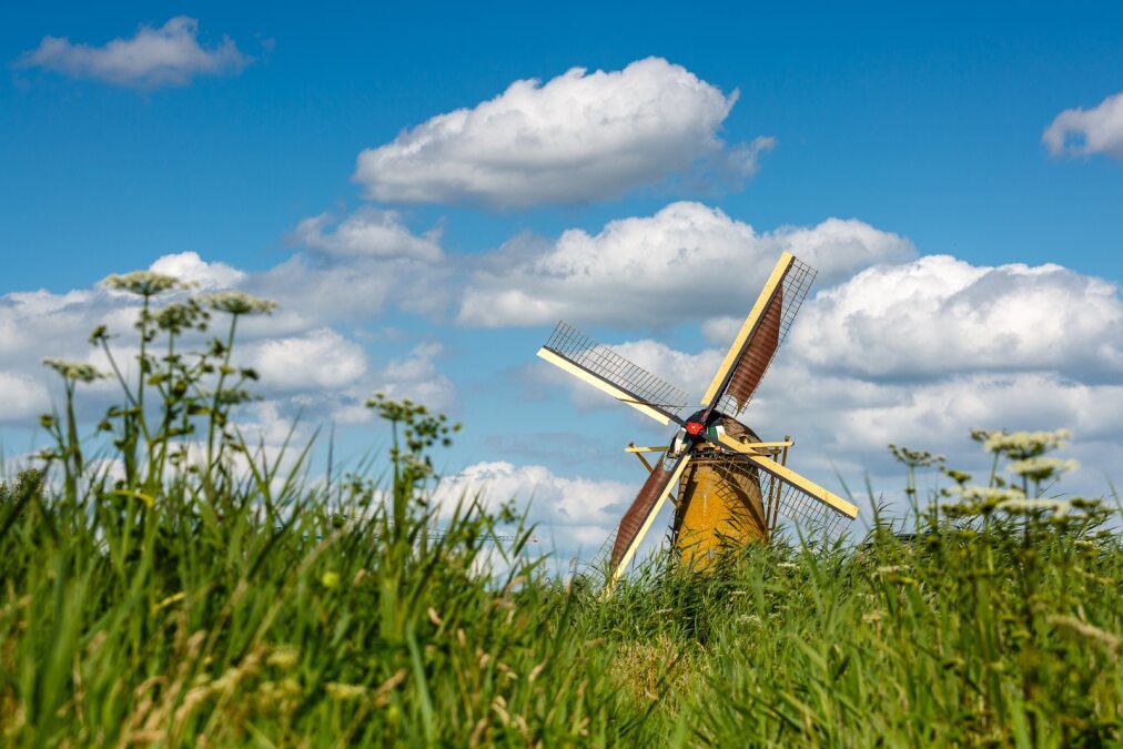 Molen- en natuurwandeling in Puttershoek op Open Monumentendag zondag 14 september