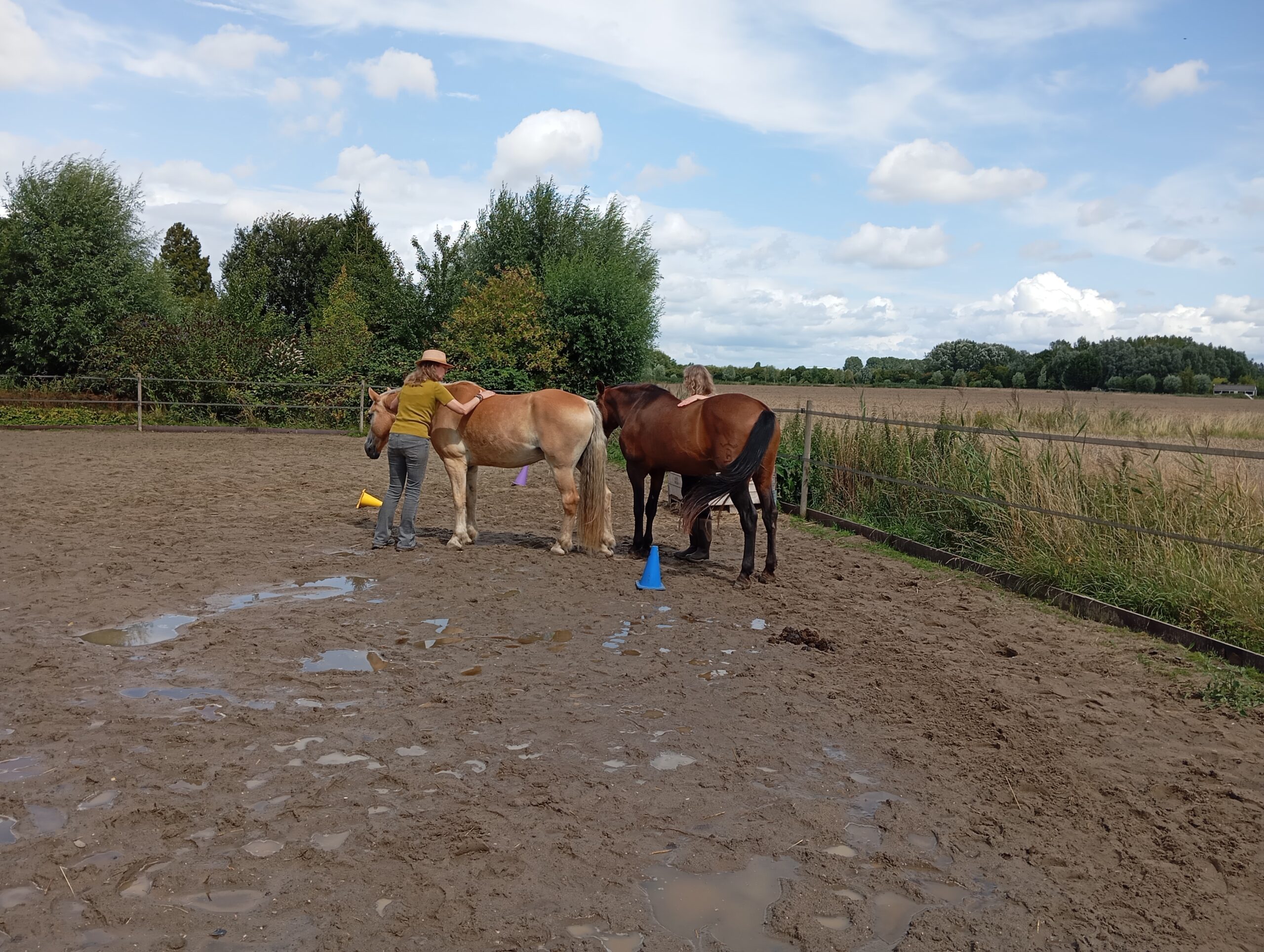 Inspiratiedag Schrijven met Paarden in Maasdam op 13 oktober