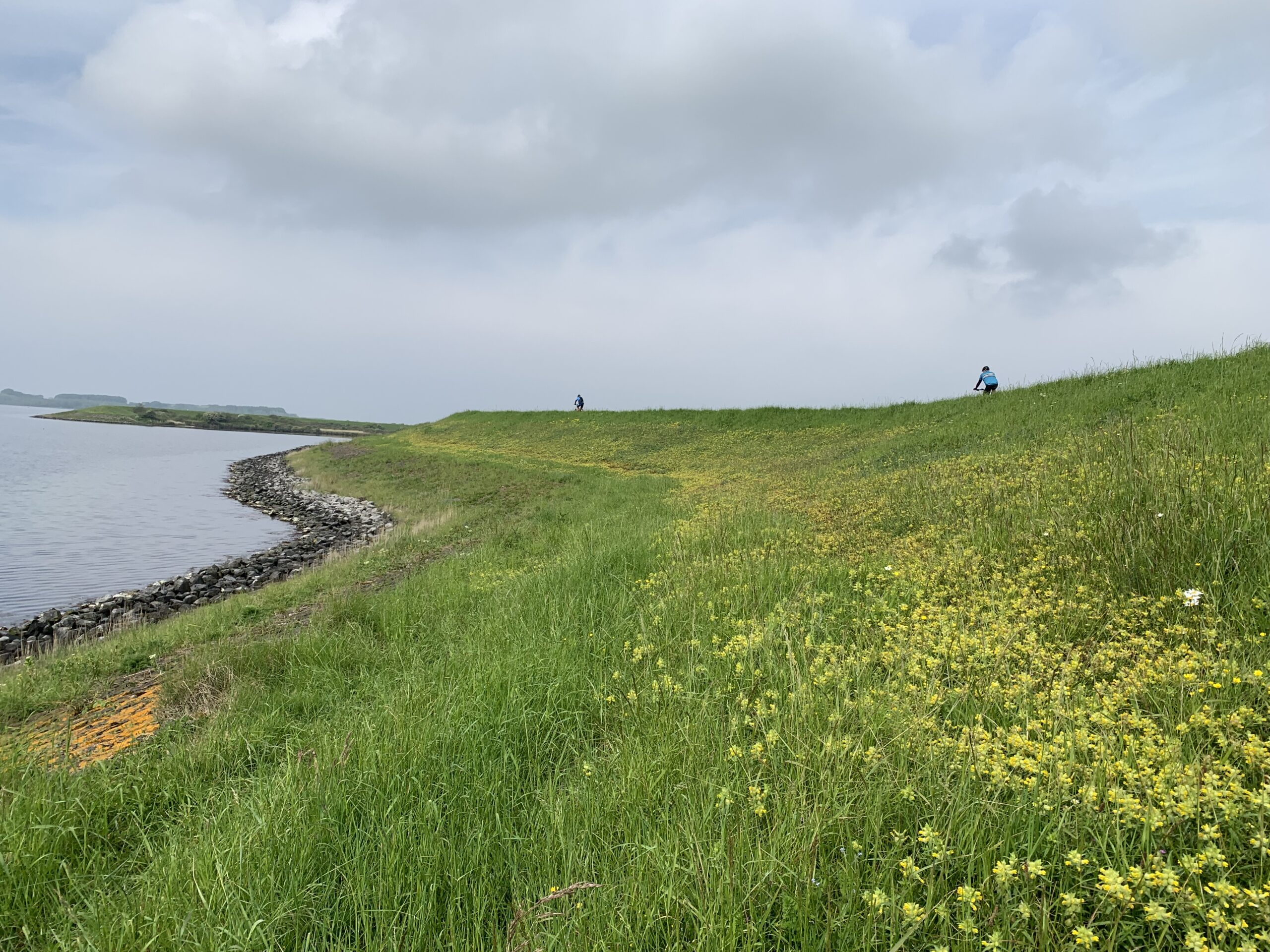 Bloemdijken: eindeloos touwtrekken