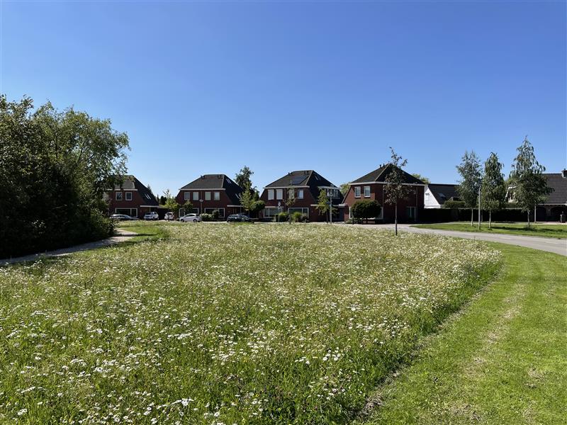 Natuurvriendelijk maaien in volle gang in de Hoeksche Waard